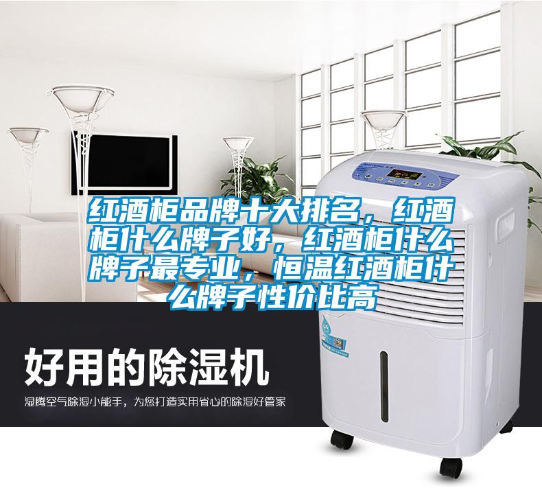 紅酒柜品牌十大排名，紅酒柜什么牌子好，紅酒柜什么牌子最專業，恒溫紅酒柜什么牌子性價比高