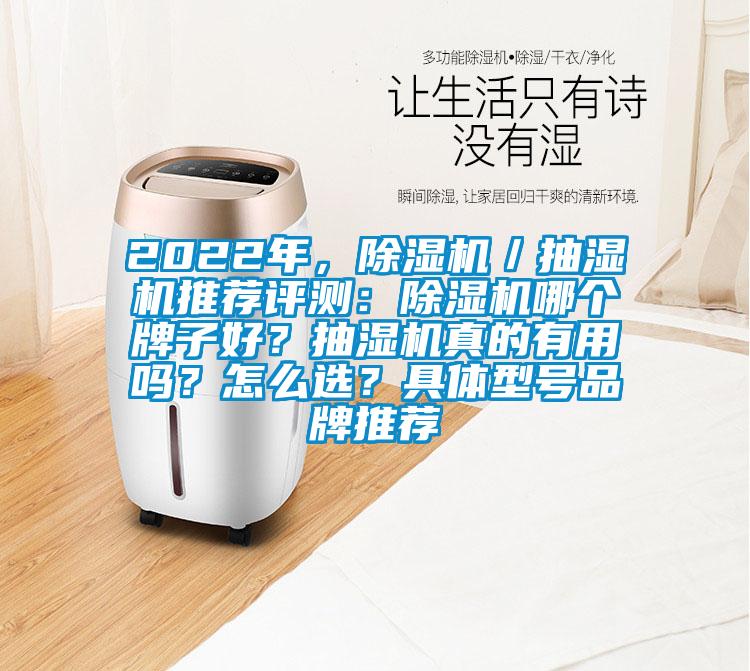 2022年，除濕機(jī)／抽濕機(jī)推薦評(píng)測(cè)：除濕機(jī)哪個(gè)牌子好？抽濕機(jī)真的有用嗎？怎么選？具體型號(hào)品牌推薦