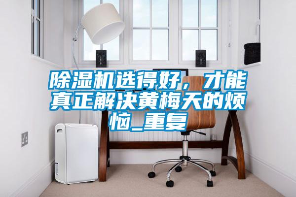 除濕機選得好，才能真正解決黃梅天的煩惱_重復
