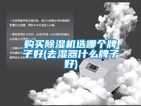 購(gòu)買(mǎi)除濕機(jī)選哪個(gè)牌子好(去濕器什么牌子好)