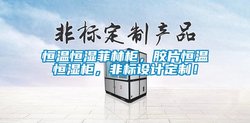 恒溫恒濕菲林柜，膠片恒溫恒濕柜，非標設計定制！