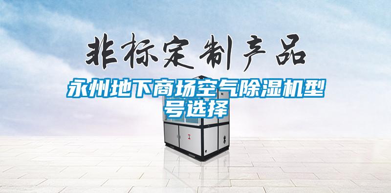 永州地下商場空氣除濕機(jī)型號(hào)選擇