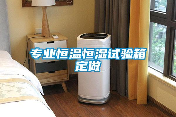 專(zhuān)業(yè)恒溫恒濕試驗(yàn)箱定做