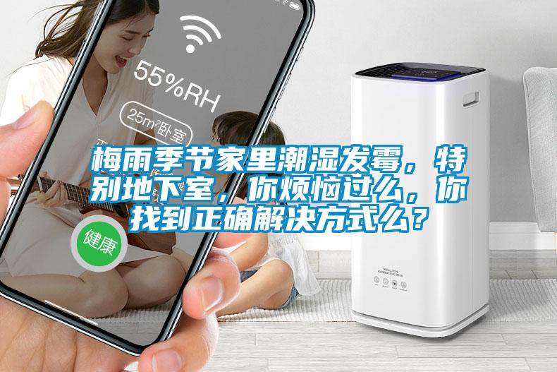 梅雨季節(jié)家里潮濕發(fā)霉，特別地下室，你煩惱過么，你找到正確解決方式么？