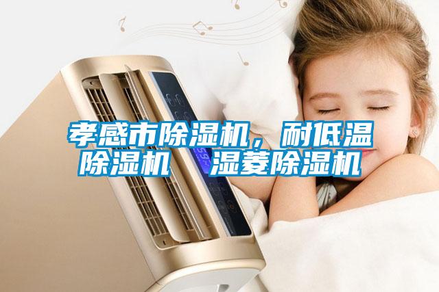 孝感市除濕機(jī)，耐低溫除濕機(jī)  濕菱除濕機(jī)