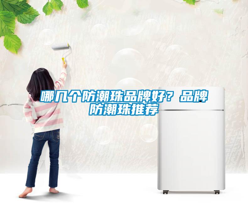 哪幾個防潮珠品牌好？品牌防潮珠推薦