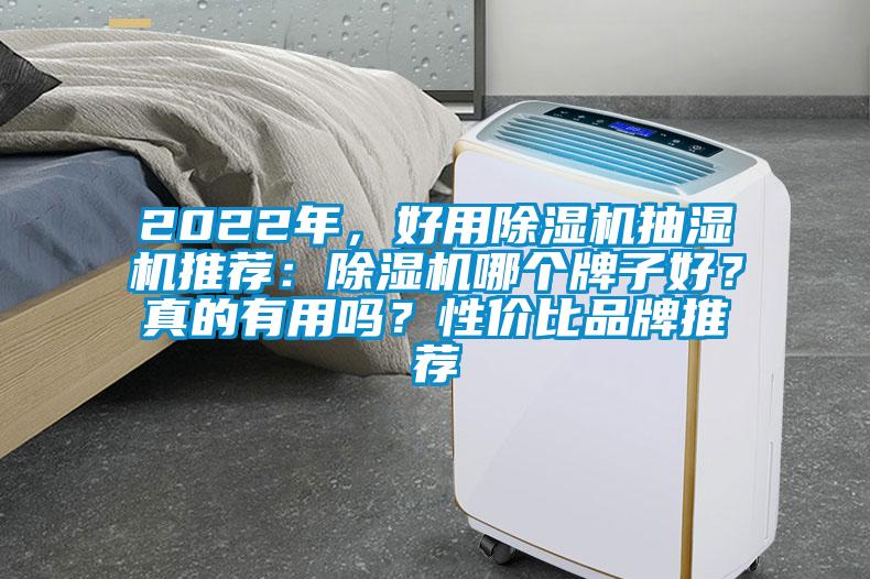 2022年，好用除濕機抽濕機推薦：除濕機哪個牌子好？真的有用嗎？性價比品牌推薦