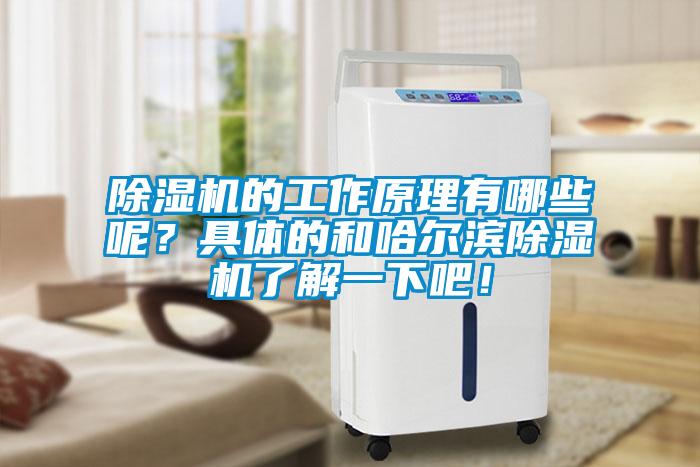 除濕機的工作原理有哪些呢？具體的和哈爾濱除濕機了解一下吧！