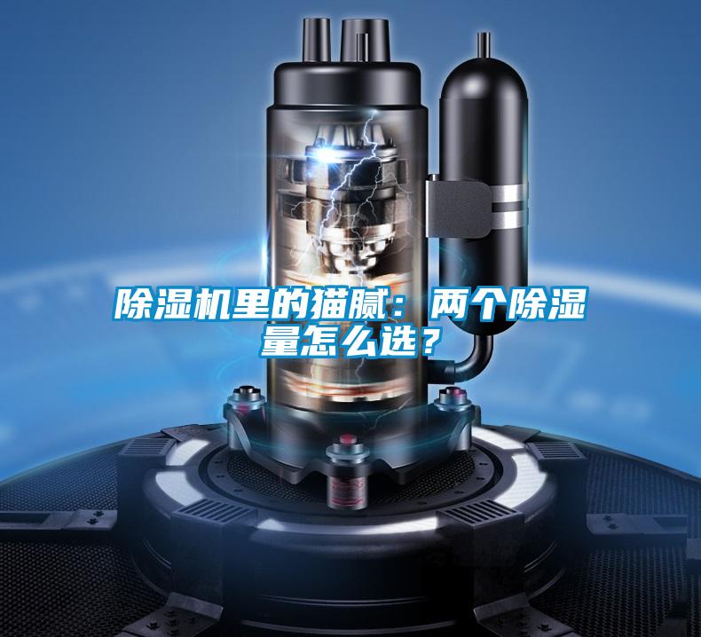 除濕機里的貓膩：兩個除濕量怎么選？
