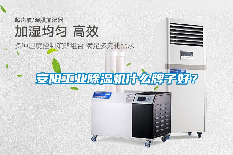 安陽工業除濕機什么牌子好？