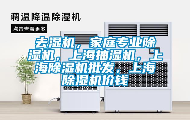 去濕機(jī)，家庭專業(yè)除濕機(jī)，上海抽濕機(jī)，上海除濕機(jī)批發(fā)，上海除濕機(jī)價錢