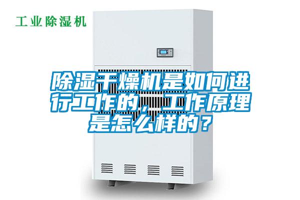 除濕干燥機是如何進行工作的，工作原理是怎么樣的？