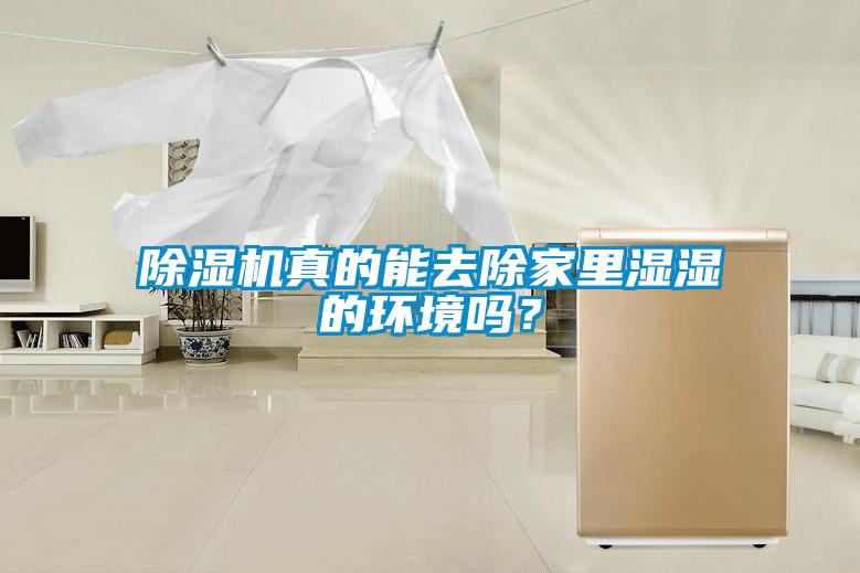 除濕機真的能去除家里濕濕的環境嗎？