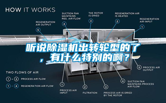 聽說除濕機出轉輪型的了，有什么特別的??？