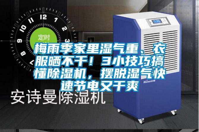 梅雨季家里濕氣重、衣服曬不干！3小技巧搞懂除濕機，擺脫濕氣快速節電又干爽