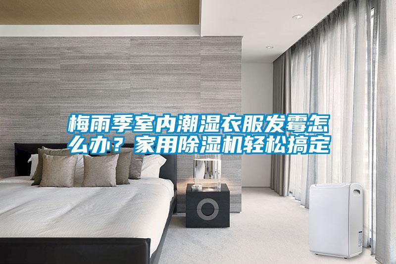梅雨季室內(nèi)潮濕衣服發(fā)霉怎么辦？家用除濕機輕松搞定