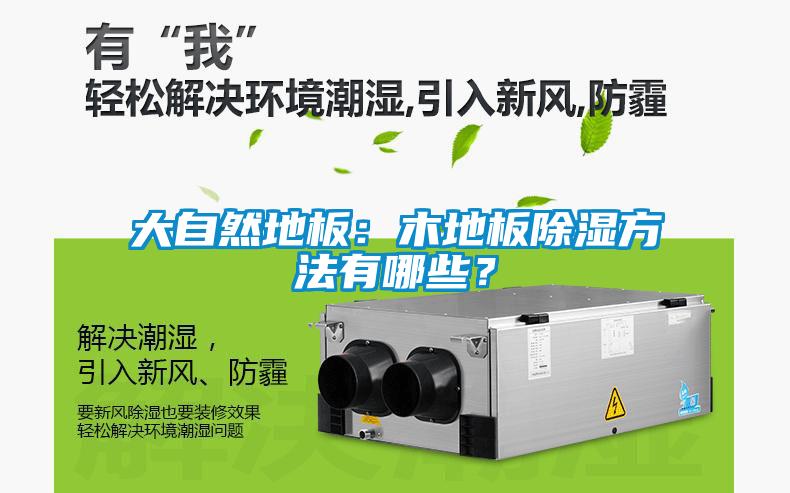 大自然地板：木地板除濕方法有哪些？