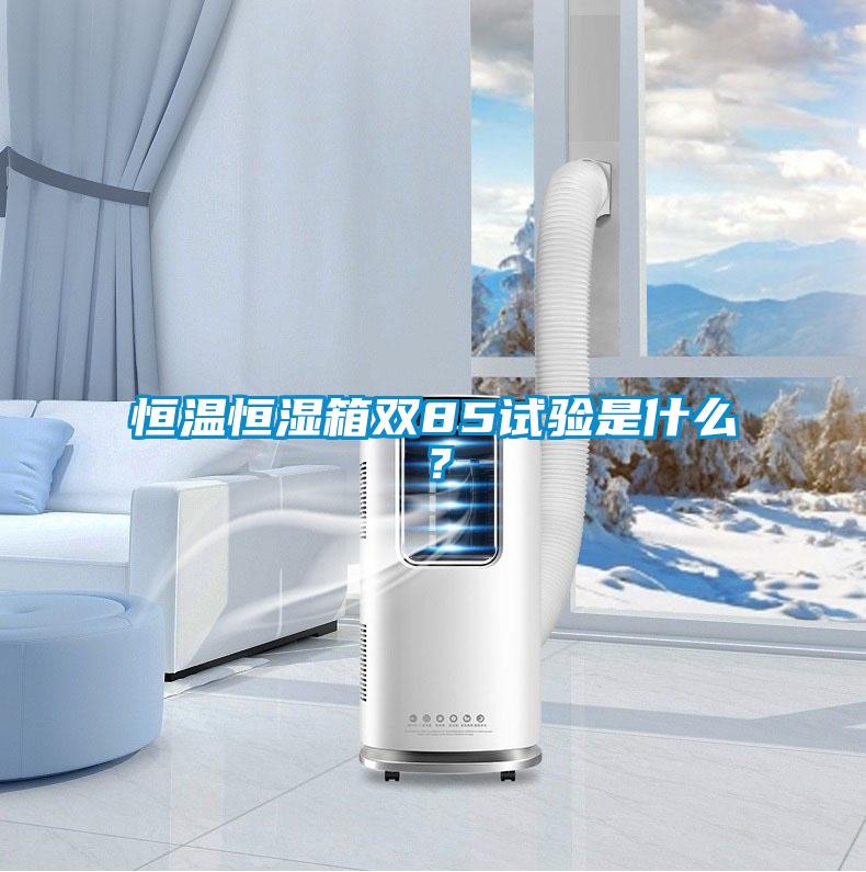 恒溫恒濕箱雙85試驗是什么？