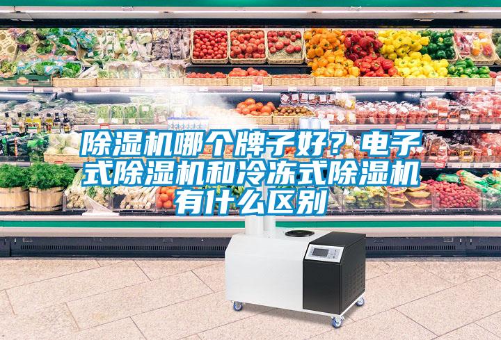 除濕機(jī)哪個(gè)牌子好？電子式除濕機(jī)和冷凍式除濕機(jī)有什么區(qū)別