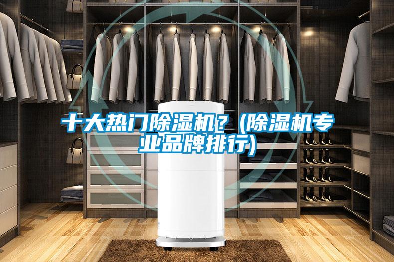 十大熱門除濕機(jī)？(除濕機(jī)專業(yè)品牌排行)