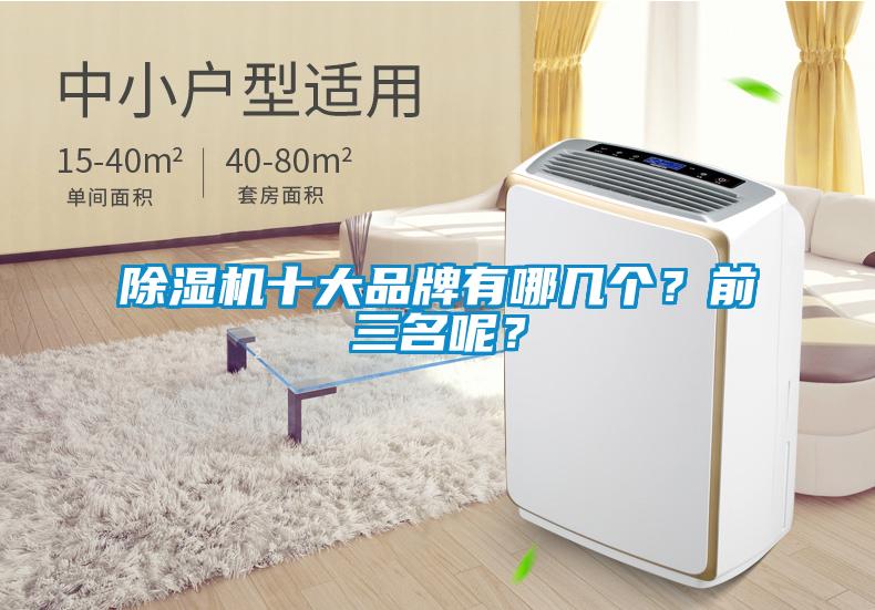 除濕機(jī)十大品牌有哪幾個(gè)？前三名呢？