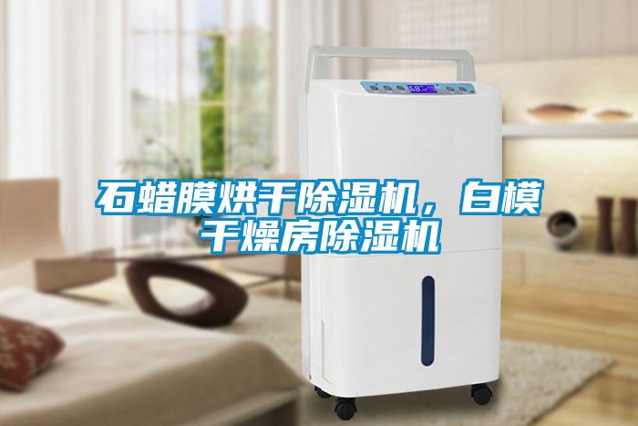石蠟膜烘干除濕機，白模干燥房除濕機