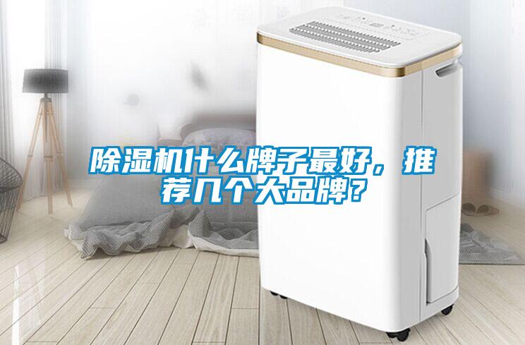 除濕機什么牌子最好，推薦幾個大品牌？