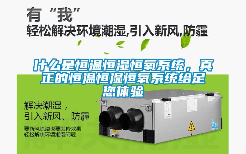 什么是恒溫恒濕恒氧系統，真正的恒溫恒濕恒氧系統給足您體驗