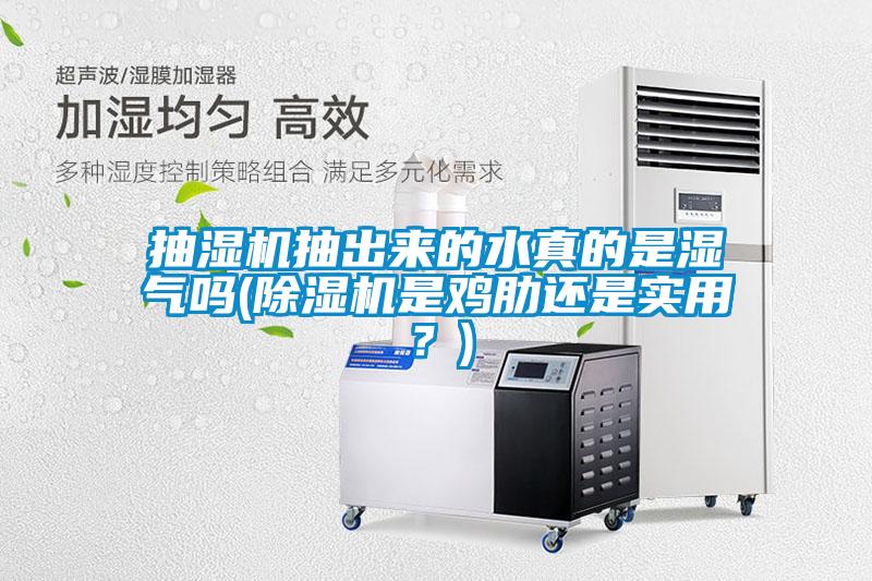 抽濕機抽出來的水真的是濕氣嗎(除濕機是雞肋還是實用？)