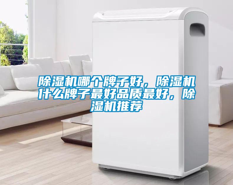 除濕機哪個牌子好，除濕機什么牌子最好品質最好，除濕機推薦