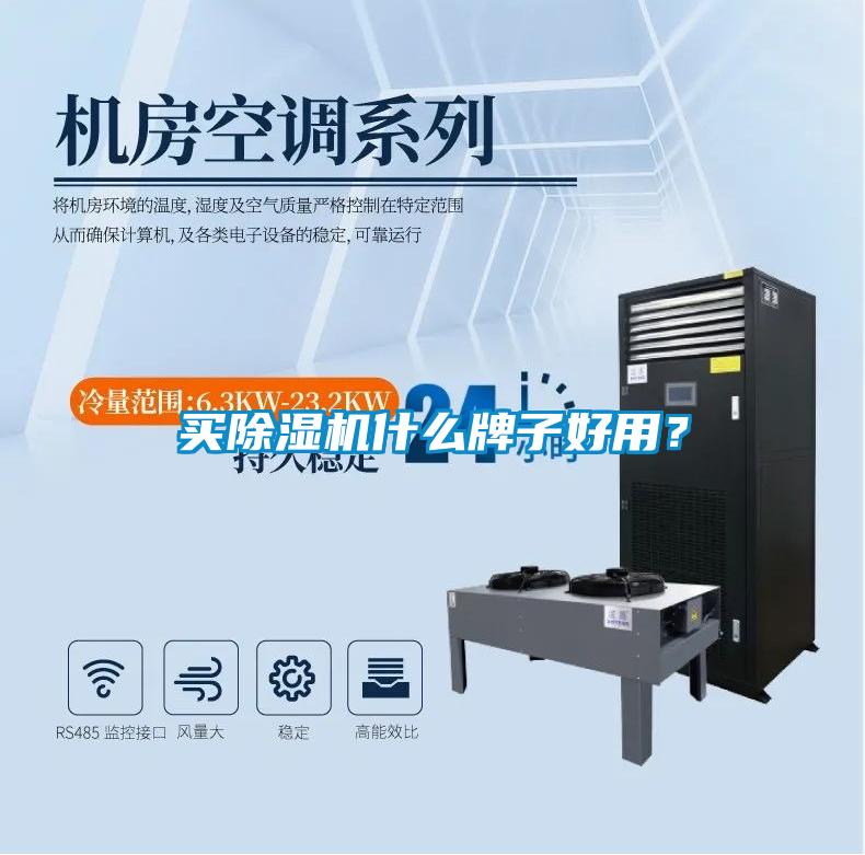 買(mǎi)除濕機(jī)什么牌子好用？