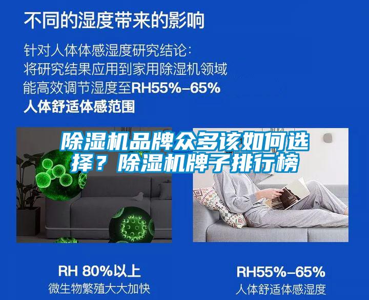 除濕機品牌眾多該如何選擇？除濕機牌子排行榜