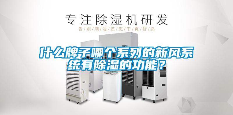 什么牌子哪個系列的新風系統有除濕的功能？