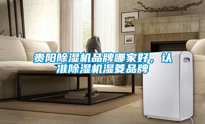 貴陽除濕機品牌哪家好，認準除濕機濕菱品牌