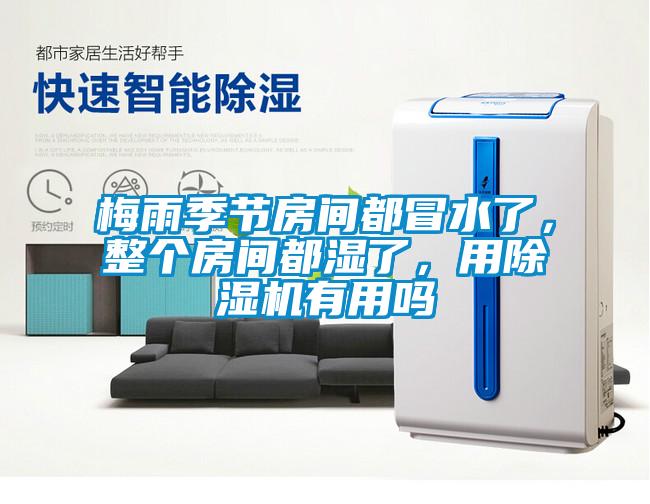 梅雨季節(jié)房間都冒水了，整個房間都濕了，用除濕機有用嗎