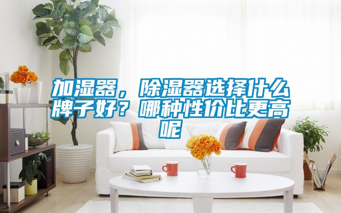 加濕器，除濕器選擇什么牌子好？哪種性價比更高呢
