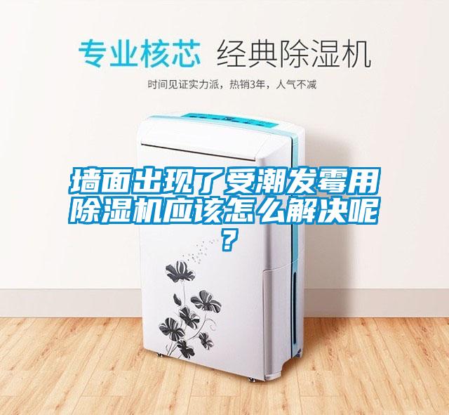墻面出現了受潮發霉用除濕機應該怎么解決呢？