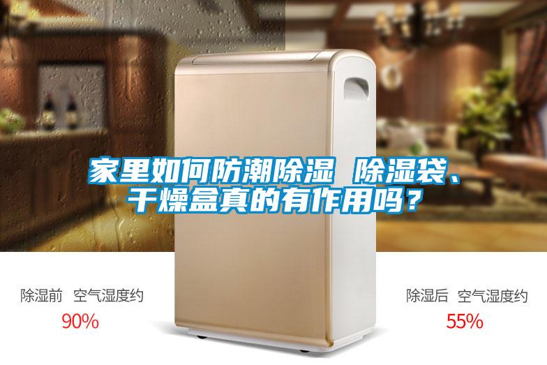 家里如何防潮除濕 除濕袋、干燥盒真的有作用嗎？