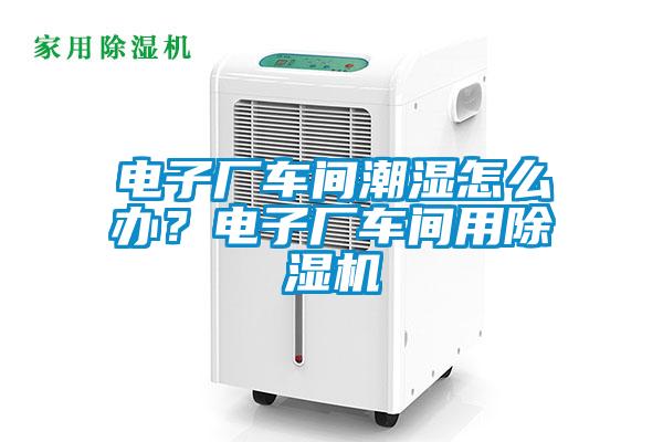 電子廠車間潮濕怎么辦？電子廠車間用除濕機(jī)