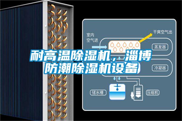 耐高溫除濕機，淄博防潮除濕機設備
