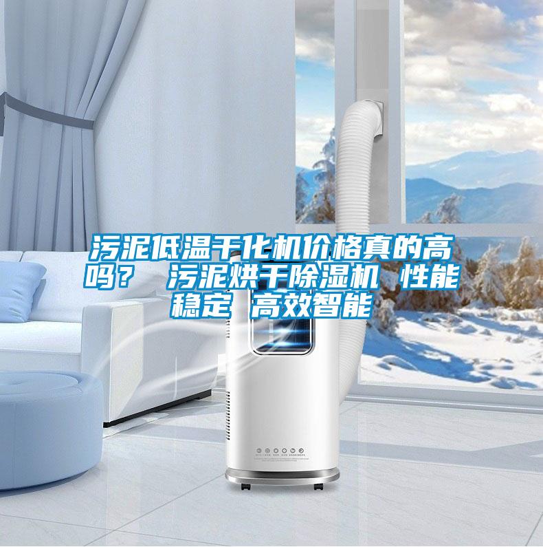 污泥低溫干化機價格真的高嗎？ 污泥烘干除濕機 性能穩定 高效智能