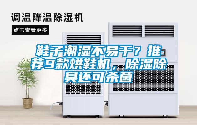 鞋子潮濕不易干？推薦9款烘鞋機，除濕除臭還可殺菌