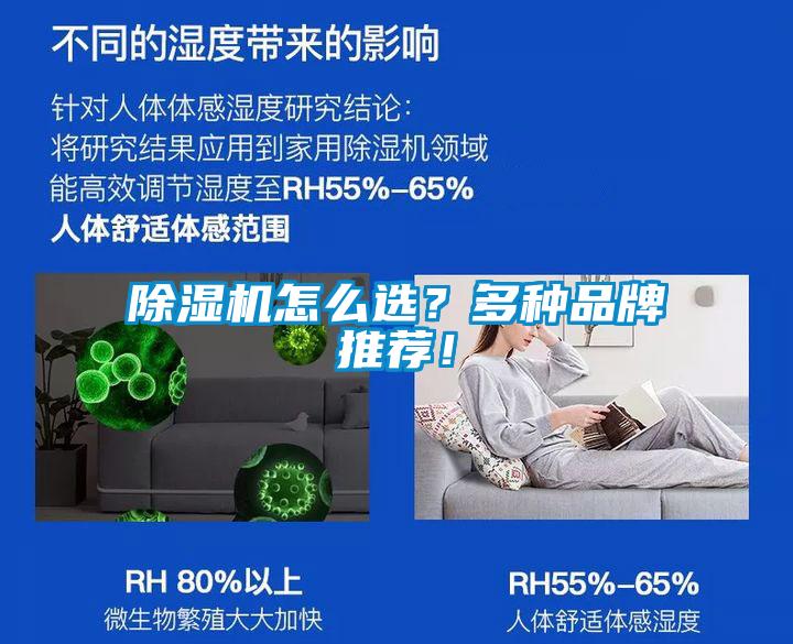 除濕機怎么選？多種品牌推薦！