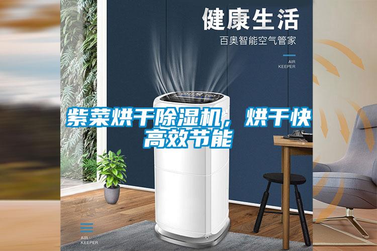 紫菜烘干除濕機(jī)，烘干快高效節(jié)能