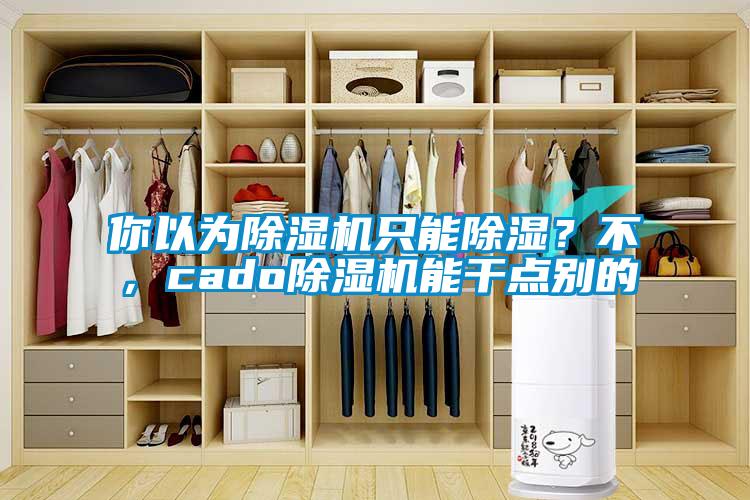 你以為除濕機只能除濕？不，cado除濕機能干點別的