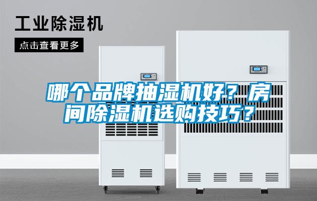 哪個(gè)品牌抽濕機(jī)好？房間除濕機(jī)選購(gòu)技巧？