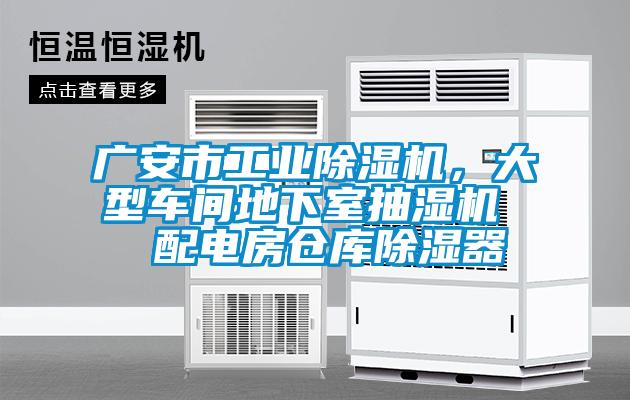 廣安市工業除濕機，大型車間地下室抽濕機  配電房倉庫除濕器