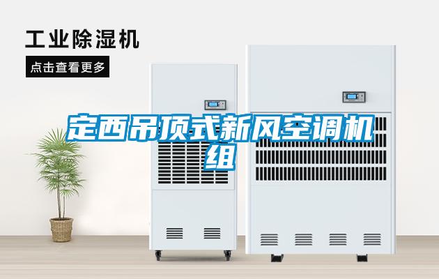 定西吊頂式新風空調(diào)機組