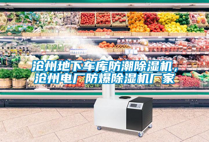 滄州地下車庫防潮除濕機，滄州電廠防爆除濕機廠家