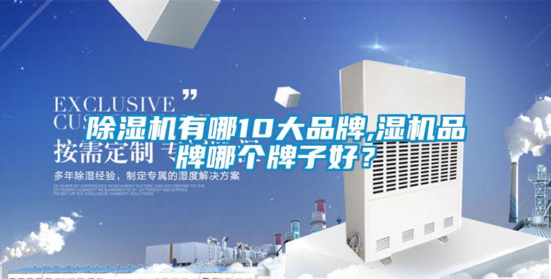 除濕機有哪10大品牌,濕機品牌哪個牌子好？